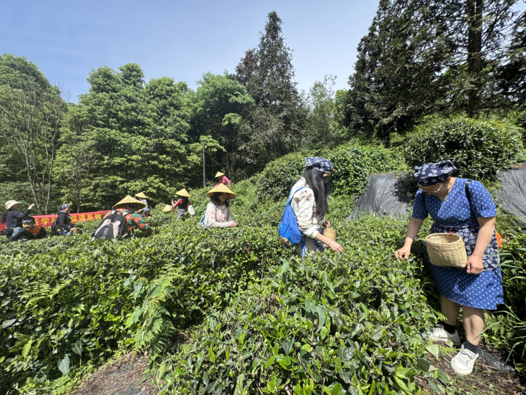 凝聚力活动_SOL币的用户参与活动：如何增强社区凝聚力与互动性_增强社区凝聚力的活动