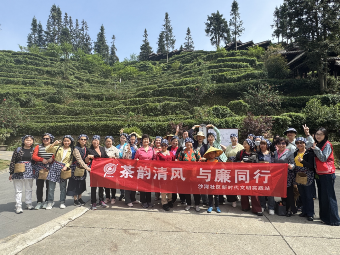 增强社区凝聚力的活动_SOL币的用户参与活动：如何增强社区凝聚力与互动性_凝聚力活动