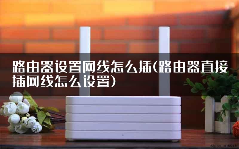 路由器设置网线怎么插(路由器直接插网线怎么设置)