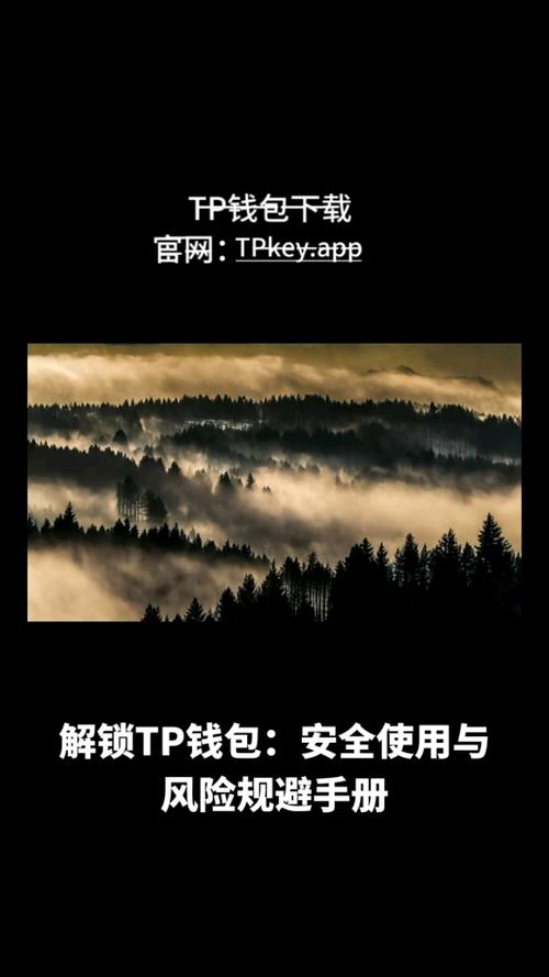 你了解哪些有关太空的知识_下载tp钱包后常见的技术问题解析，用户需了解的基本知识_显卡知识了解